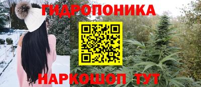 apvp Чебоксары