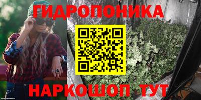 apvp Чебоксары